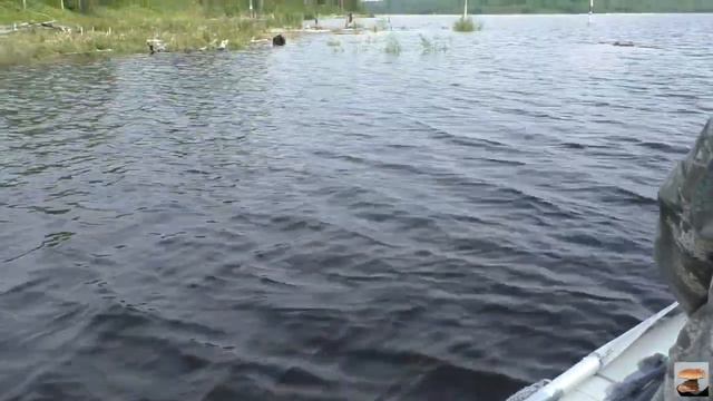 Щуки,щуки, и ещё щуки!!! Чебаки, чебаки и ещё чебаки!!!! На поплавок и блёсна! Super fishing. смотреть онлайн