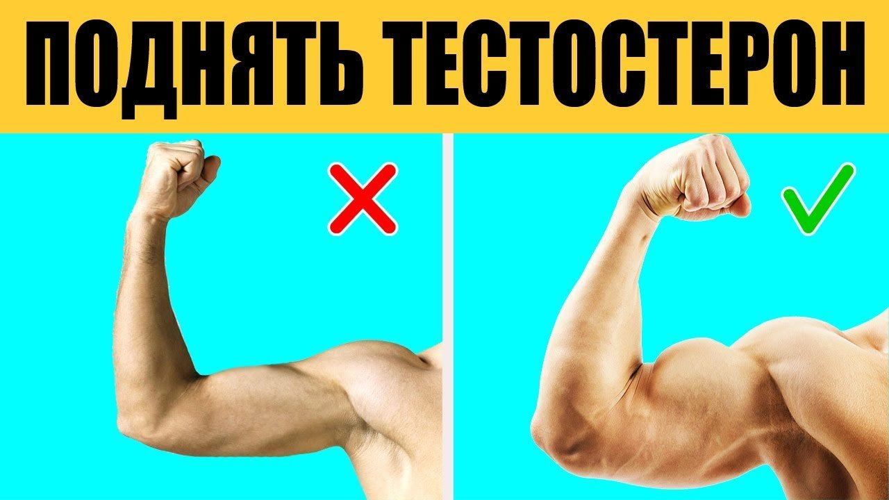 Как увеличить у мужчин в домашних. Повышение тестостерона. Что повышает тестостерон. Способы поднять тестостерон. Упражнения для повышения тестостерона.