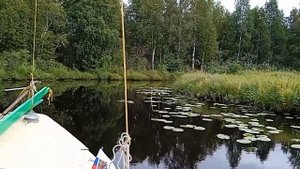 Путешествие во времени. Падозеро. Остров. Юля. Первый опыт управления лодкой под мотором. 2023.08.2