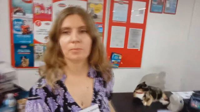 22-24 июля Сбор кормов для приюта "Хочу жить дома"