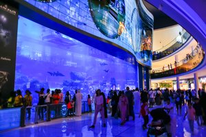 Аквариум Дубай-Молл