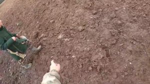 ОХОТА НА ГУСЯ В ЛЕНИНГРАДСКОЙ ОБЛАСТИ , 05.10.2022 , Гусь попёр .