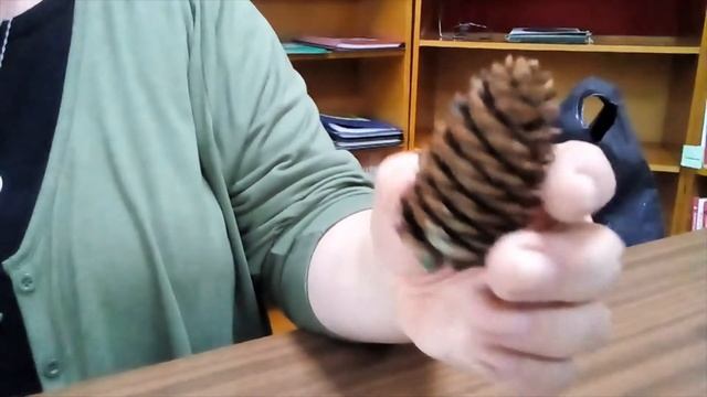 [ГЛЯНЬ ЧЕ УМЕЕМ] Лесовичок Рогозина Е.О. смотреть онлайн