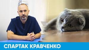 Какие болезни животных опасны для человека? | Короче, Омск 448