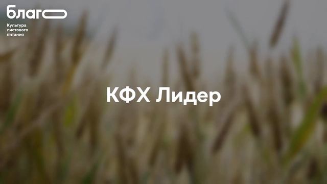 Как мы увеличили урожайность в Ростовской области с БЛАГО. ТОП-3 результата на озимой пшенице смотреть онлайн