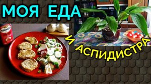 Моя низкокалорийная еда / Как я похудела на 94 кг и укрепила здоровье