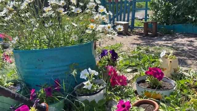 Дела на заброшенной даче. Что изменилось на даче. Гуляем по заброшенным дачам. #дача смотреть онлайн