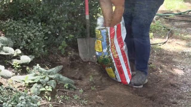 Growing Together - August 2019 смотреть онлайн