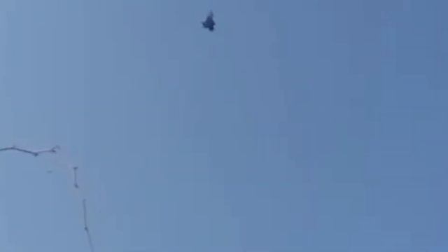 Игра Бухарских Голубей,в Небе Акмаля Голуби 2021г #tauben #pigeons смотреть онлайн