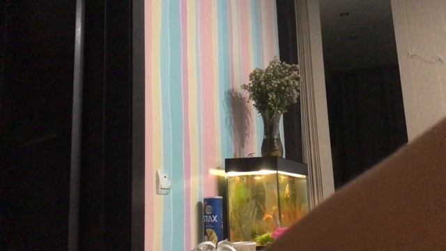 17-10-2023 смотреть онлайн