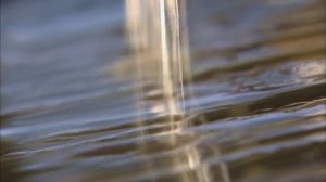 Технологии производства сока прямого отжима