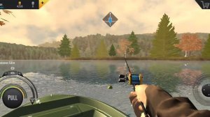 огромные карпы в Professional fishing