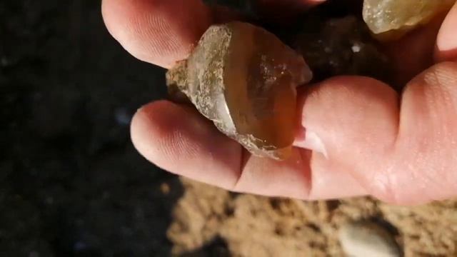 ПРОГУЛКА, ПОИСК СЕРДОЛИКА смотреть онлайн