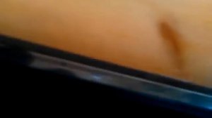 Заправка Картриджа Q6000a с сохранением оригинальн