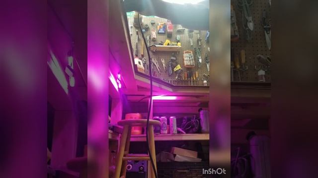 Wood Laminate Top for Work Bench смотреть онлайн