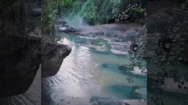 ЧУДЕСА ПРИРОДЫ КИПЯЩАЯ РЕКА НЕВЕРОЯТНОЕ ЯВЛЕНИЕ ПРИРОДЫ gigbigra смотреть онлайн
