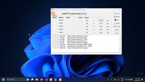 You don't have permission to access this resource in Xampp Apache Server