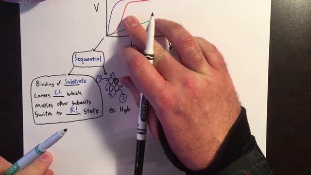 Allosteric Enzymes: Sigmoidal Kinetics смотреть онлайн