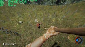 The Forest Geforce GTX 750 TI 2GB AMD FX 8320E 3.2 GHZ (R.O.C.C.)