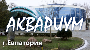 Аквариум. Евпатория.2023. Музыка Сен-Санса и Римского-Корсакова.