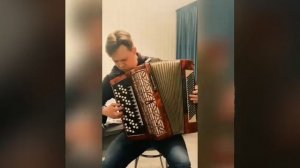 Аккордеон Barcarole Professional