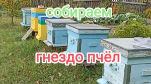 Сборка гнезда пчёл в зиму! Пчеловодство!