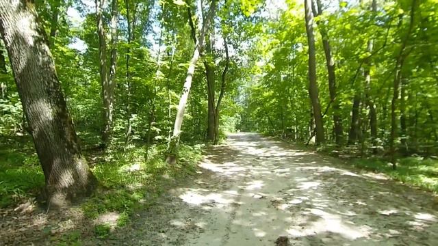 РЕКА СЕВЕРСКИЙ ДОНЕЦ,КАЗАЧЬЯ ГОРА-ПТИЧЬЯ ГОРА/ ГАЙДАРЫ-КОРОБОВЫ ХУТОРА(КОРОПОВО),ХАРЬКОВСКАЯ ОБЛАСТ смотреть онлайн