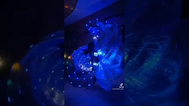 Сафира светодиодное шоу