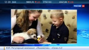 Владимир Путин подарил 11-летней москвичке щенка