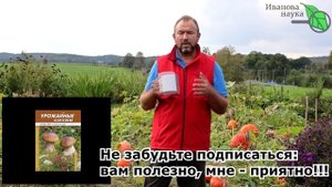 ПЛЕСЕНЬ НА КОФЕ, ЗАВАРКЕ, ХЛЕБЕ и ЛИМОНАХ? Какая польза плесени? А вот какая! Триходерма не плесень