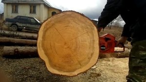 Бензопила Echo CS-680 пилит