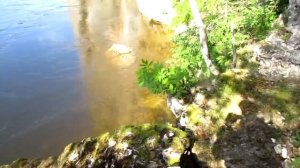 Вишера - река лежащая у Солнца (ч-2)