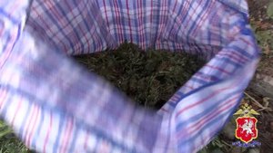 2017_10_24_Севастопольские полицейские изъяли у крымчанина более 23 килограммов конопли