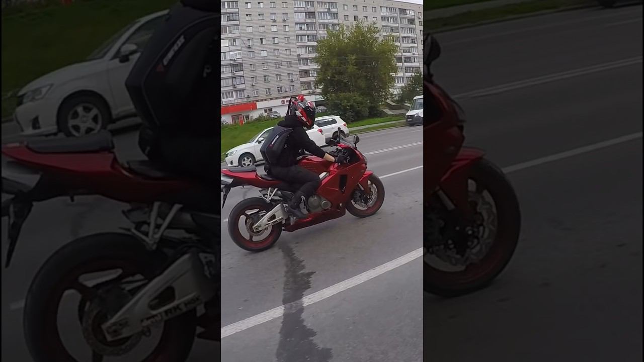 Мотодевочки