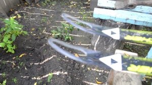 Fischer Carbon Lite обзор