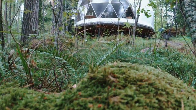 Глэмпинг 💚 смотреть онлайн