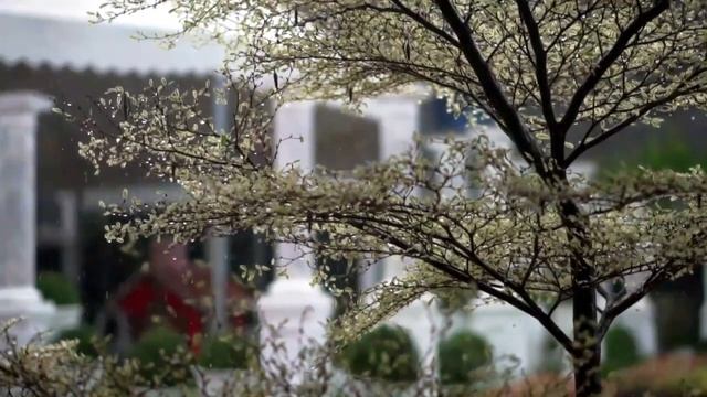 Шум Дождя по Крыше старой | Звуки дождя и грома для сна и радует душу смотреть онлайн