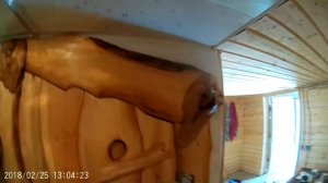 Самодельная баня!