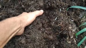 Трава вместо навоза