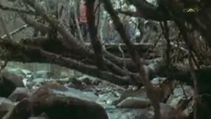 Юрий Визбор - Шхельда