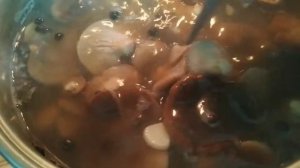 мариную грибы однобочки проверенный рецепт