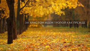 О себе напоминает осень - Igor Tsuman (Acoustic Version)