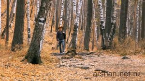 ИРКУТСК отдых в Аршане 2020 arshan.net.ru Тункинская долина