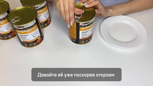 Защищаем иммунитет собаки. Влажный корм 
КОНСЕРВИРОВАННЫЙ КОРМ ДЛЯ СОБАК PROBALANCE "IMMUNO", 850Г