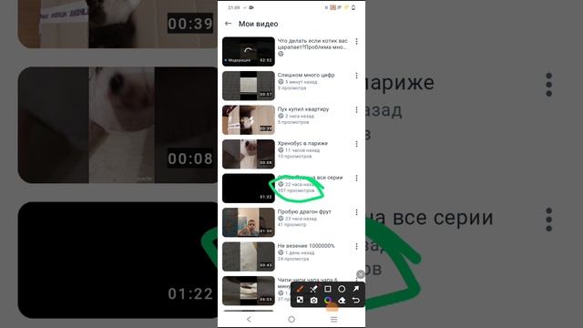 Моё рекордное видео по прасмотрам