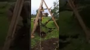 Корчуем старую сливу