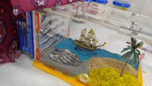 Переселение Camponotus vagus из инкубатора в ферму. Часть 2. Заселяем муравьев в ферму. #9