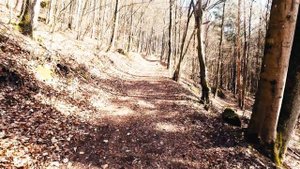 Трейловый забег на 34 км с 1400 высотными метрами. Trail route 66.