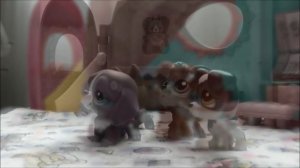 петшопы серия 1