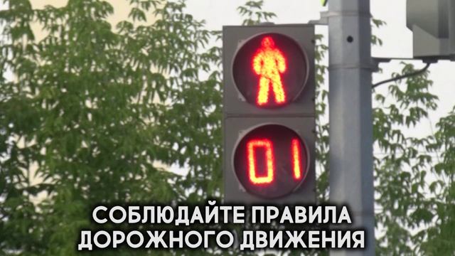 Как пользоваться средствами индивидуальной мобильности